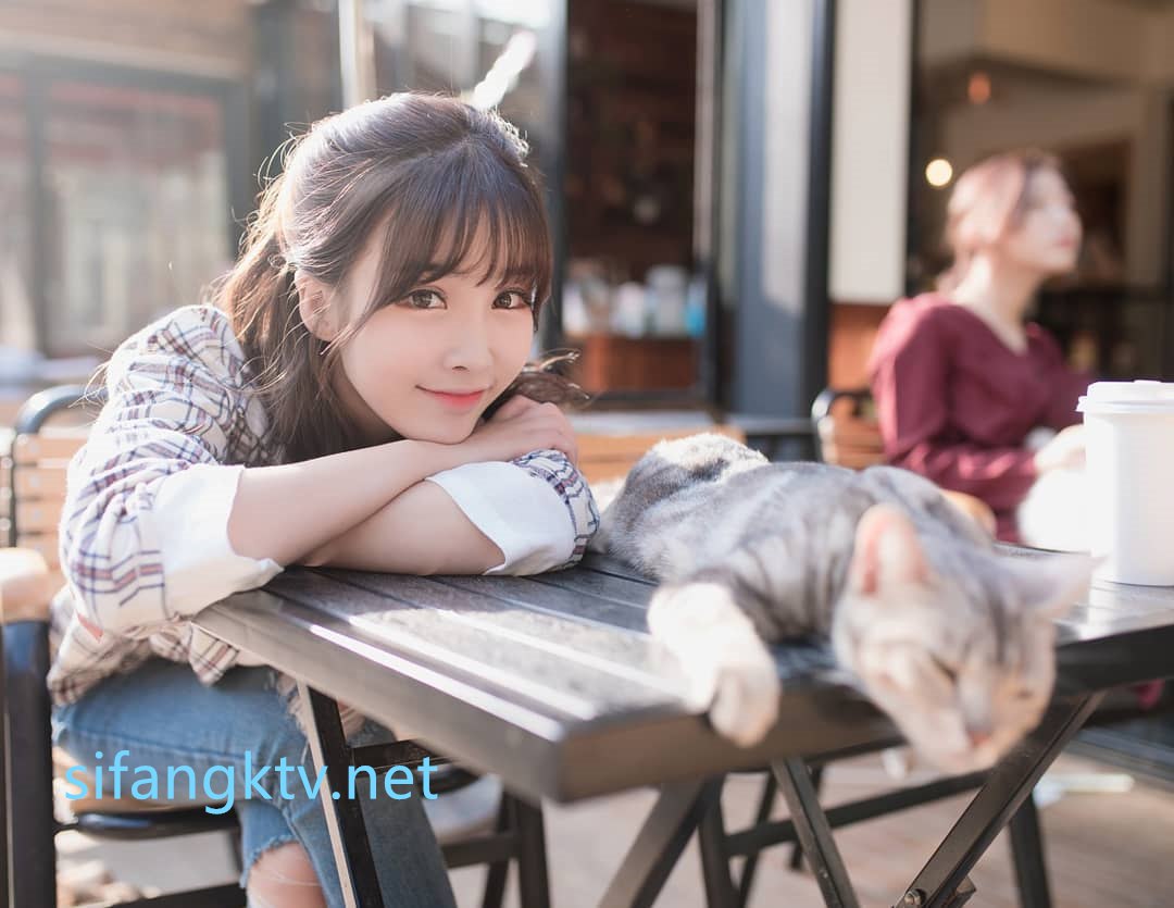 144의 사본